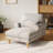 Upholstered Chaise Lounge With Adjustable Backrest