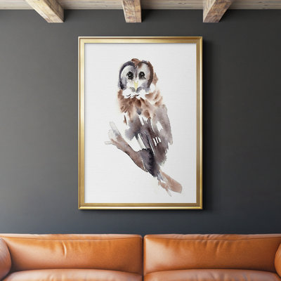 Barred Owl Impressions II - impression d'un seul cadre photo