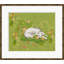 Indian Summer Giclee Print by Dana Gibson