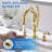 Widespread 2-handle Bathroom Faucet