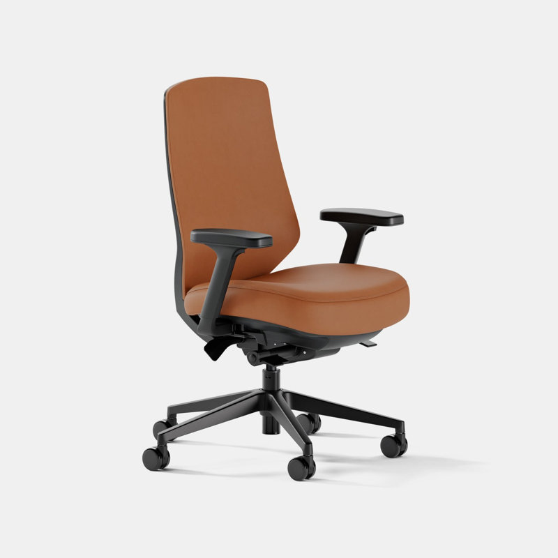 Ergonomic Chair Pro, Canyon, Black