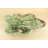 Green Aurora Fluorite Centerpiece