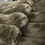 Mulliken Polyester Throw-158953835
