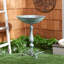Orian Bird Bath-1437084455