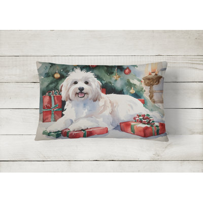 Other/No Pattern Outdoor Throw Pillow