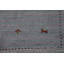 Tapis indien rayé Gabbeh 4 x 6