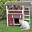 Lit pour chat Novelty