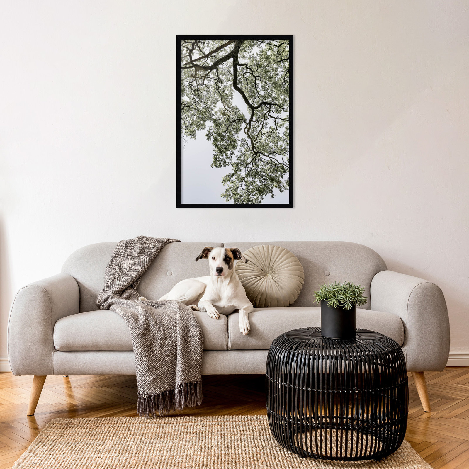 Pleasantville "Coastal Forest" Print, Black, 33" H x 23" W