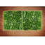 Plastic Wall Decor