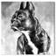 Bouledogue français par Oliver Gal - reproduction d'impression sur papier-521297426-526822965