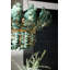 Bilal 8 - Light Iron Chandelier