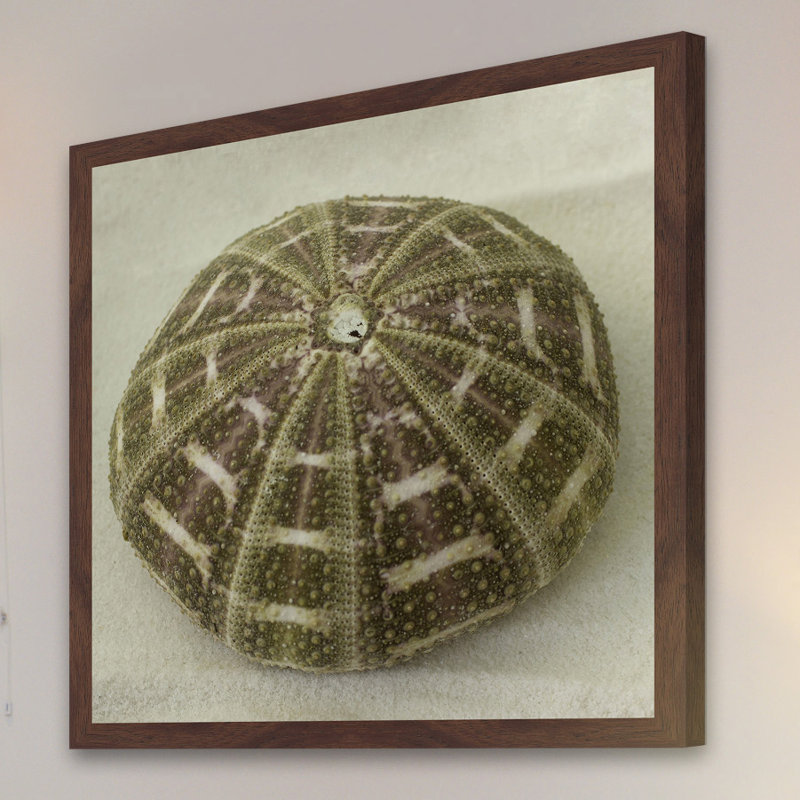 Judy Stalus - Single Picture Frame Print, 41cm H x 41cm W x 3.81cm D