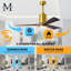 Patricia LED Downrod Ceiling Fan-1286615720-1304435244-1323428714