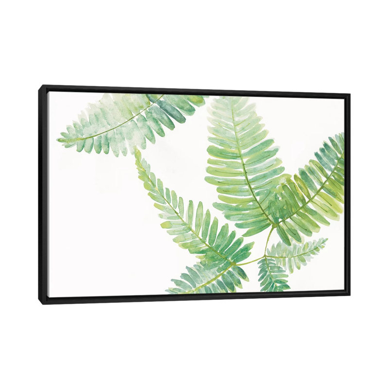 « ferns ii », reproduction d’art sur toile tendue, H 18 po x l 26 po x P 1,5 po, Toile avec cadre noir, Pas de tapis