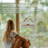 Window Decorative Bird Feeder-51884143