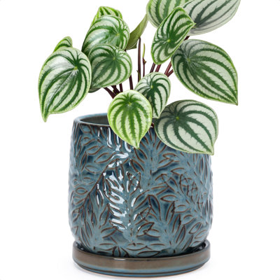 Pot de fleurs en céramique à motif de feuilles en relief, 15 cm, bleu sarcelle océan
