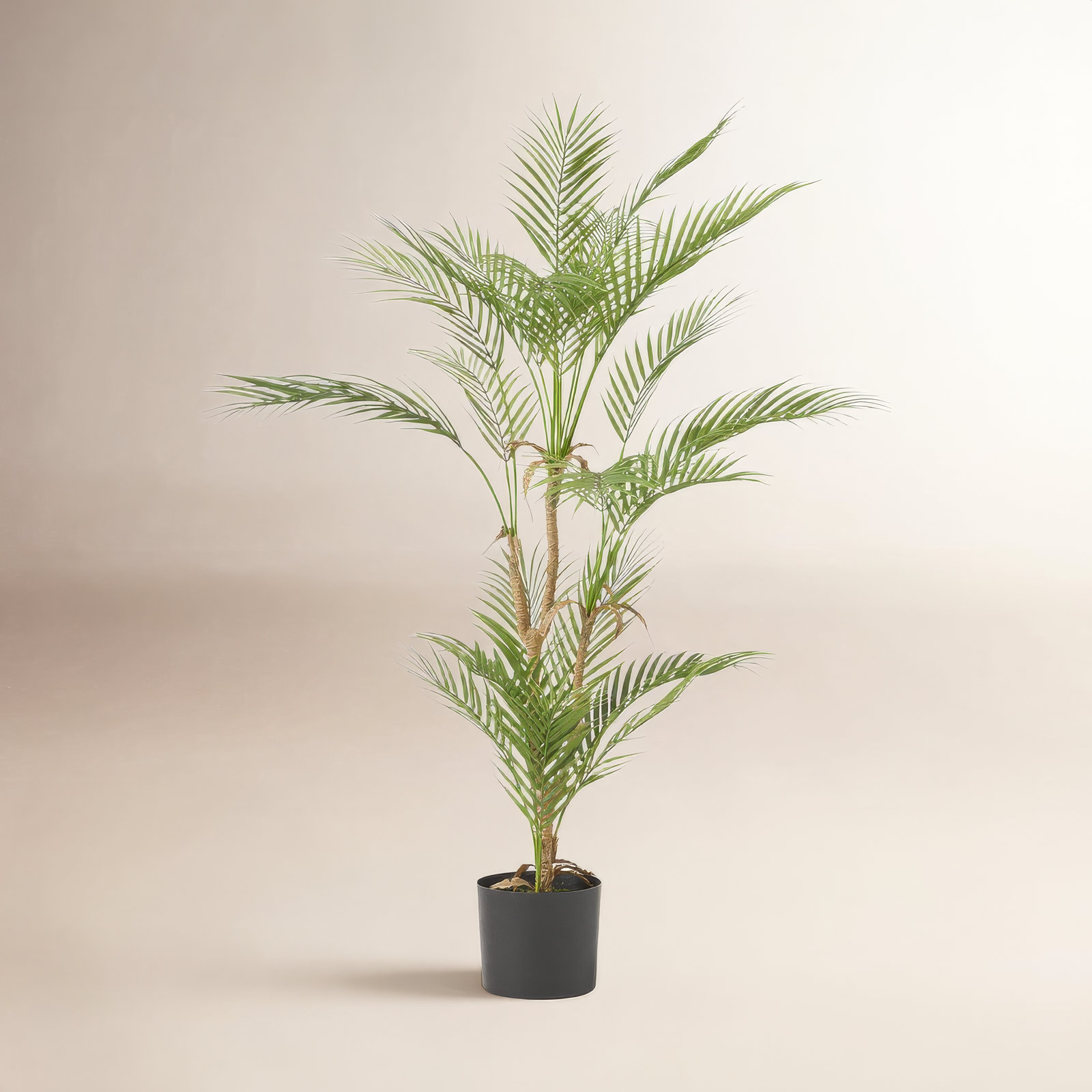 Artificial Palm Tree, 57.48" H x 39.37" W x 39.37" D