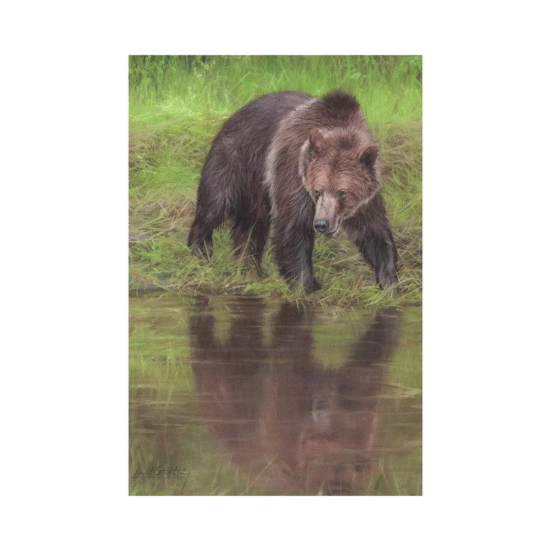 Grizzly Bear At Water's Edge by David Stribbling - Wrapped Canvas Painting, 20.32 cm H x 30.48 cm W