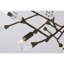Malinda 6-Light Chandelier in Bark by Breegan Jane