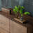 Black Walnut Multi-Functional Storage Cabinet