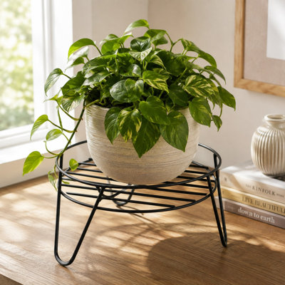 Présentoir à plante court en métal - Présentoir à plante en acier robuste pour l'intérieur et l'extérieur, finition thermolaquée noire
