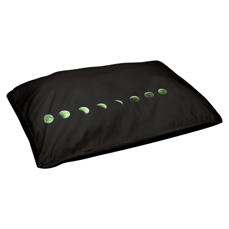 Catalano Polyester Pet Bed, Medium (29.5" W x 19.5" D x 9.5" H), Green