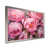 Silver Picture Frame