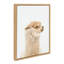 «Golden Alpaca Profile» par Amy Peterson, reproduction d'art sur toile encadrée-2104560520