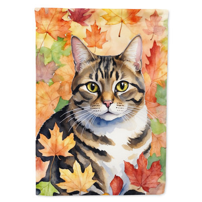 Chat en feuilles d'automne