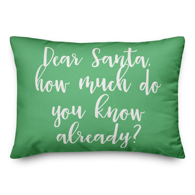 Coussin Dear Santa