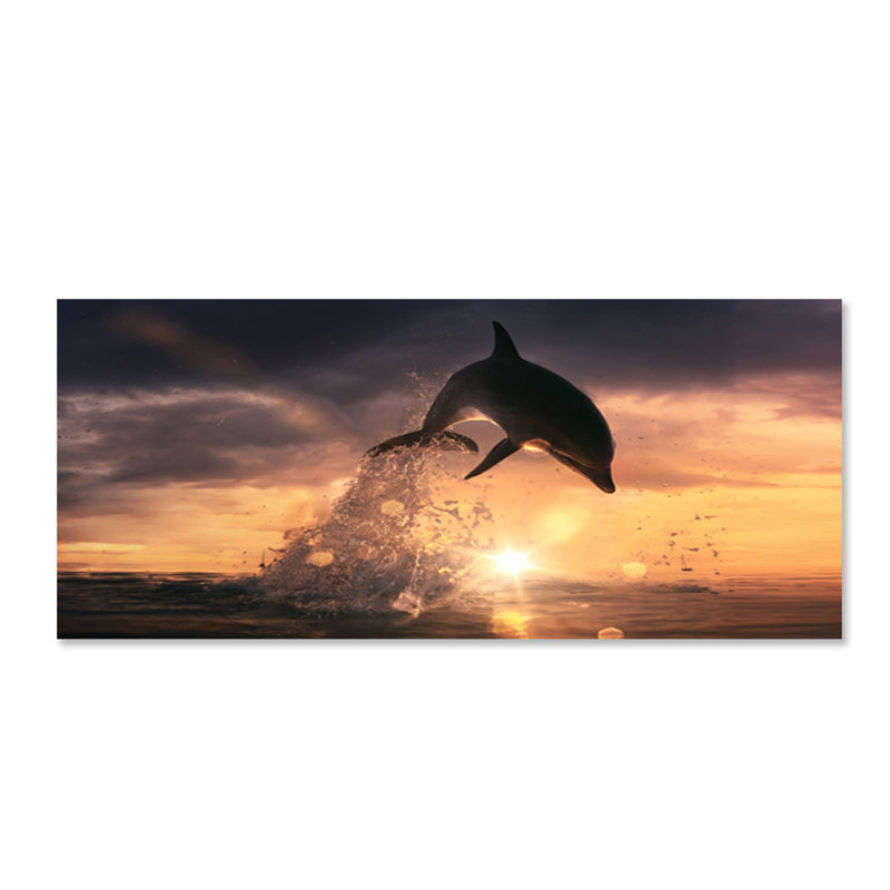 Dolphin Play Print, Plastic/Acrylic, 36" H x 84" W x 1.5" D