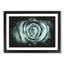 Mint Green Rose - Picture Frame Graphic Art Print-56735471-56735469