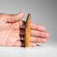 Genuine Natural Carcharodontosaurus Dinosaur Tooth (43 Grams)-220986291