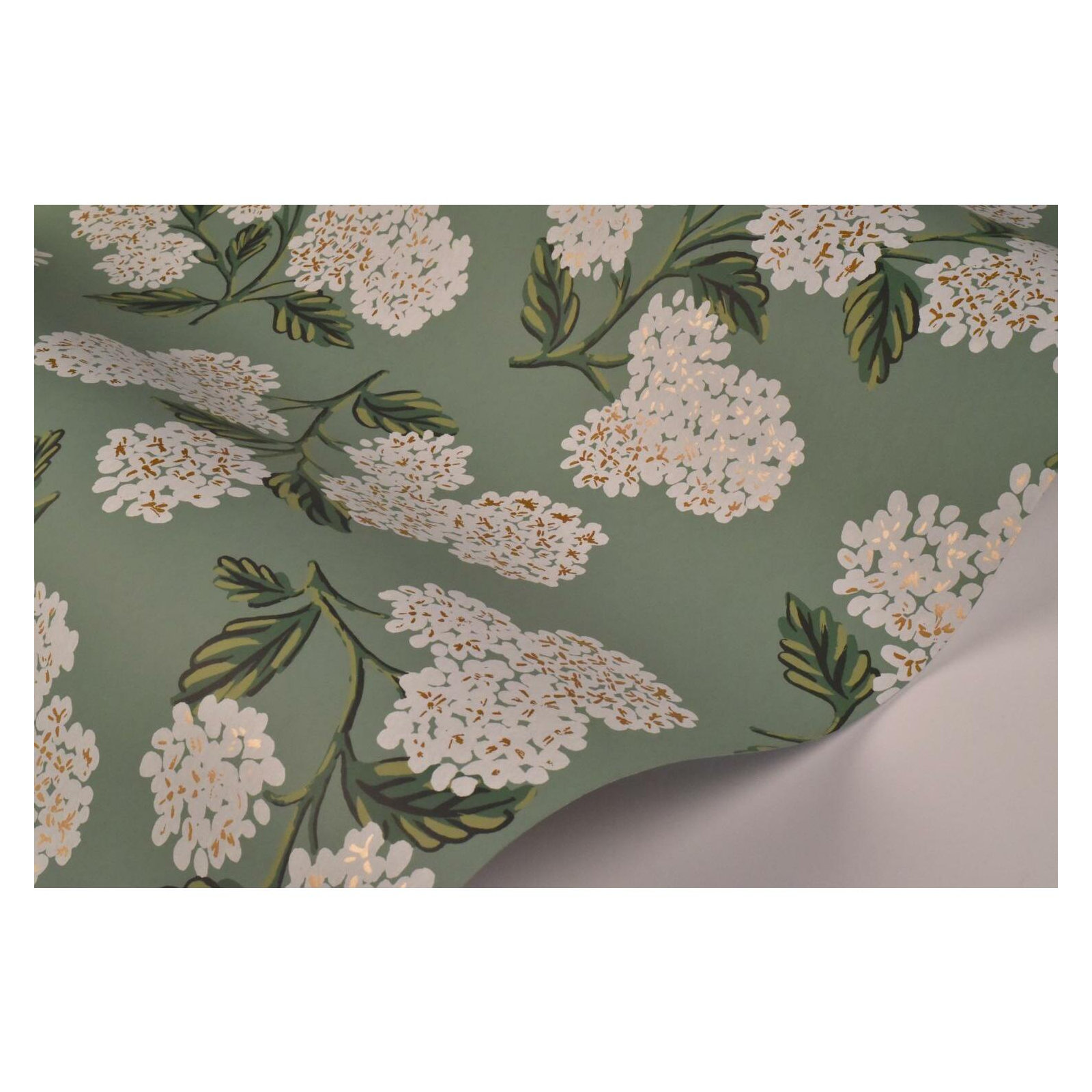 Hydrangea 27' x 27" Wallpaper, Green/White