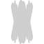 Rosette fleur-grace-32727486