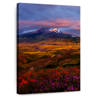 Mount Helens Wildflowers