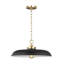 Wellfleet 1 - Light Pendant-49640826-49640827