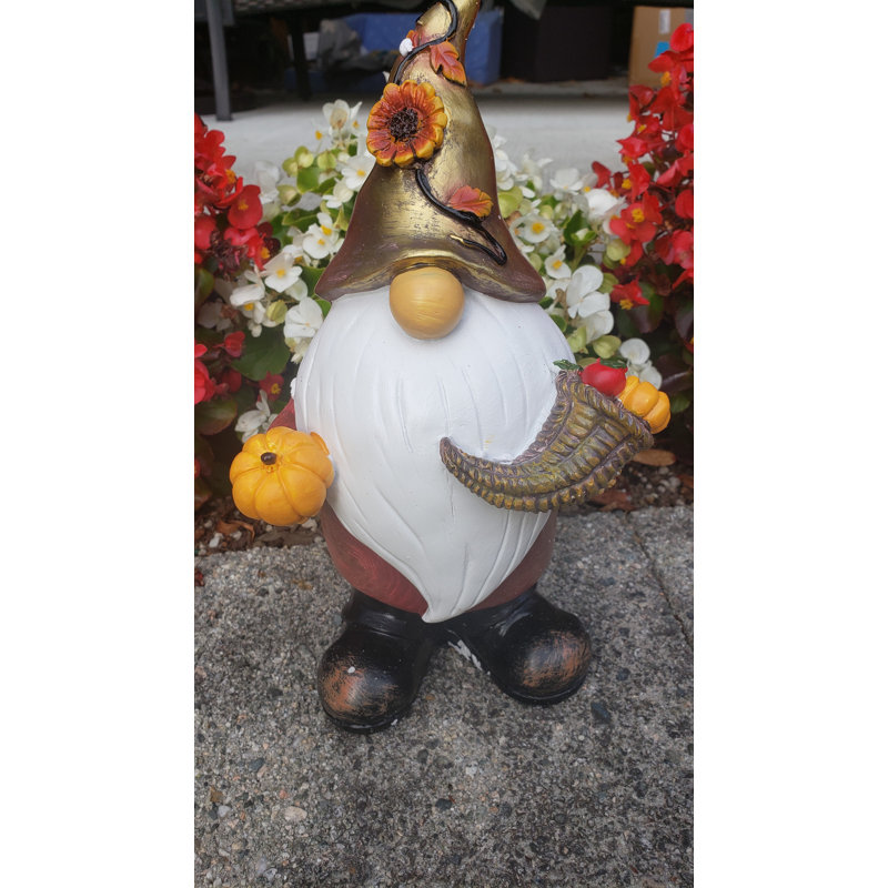 Nain de jardin faqir festif