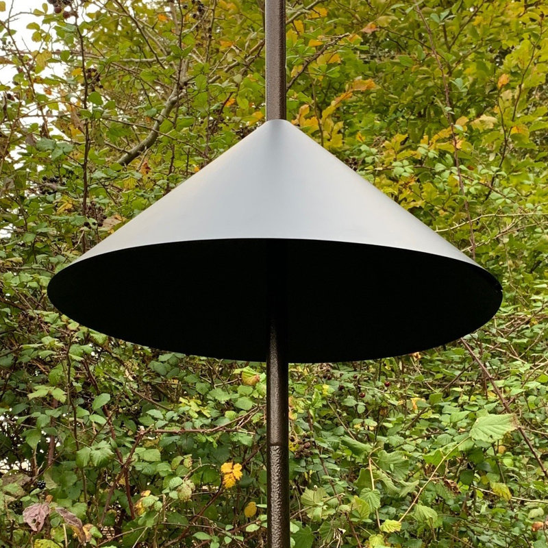 Lacluta Metal Squirrel Guard