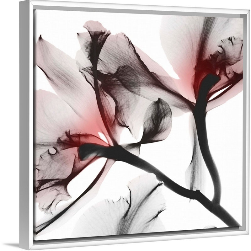 « Coral Luster 1 » par Albert Koetsier, reproduction d’art sur toile, Toile blanche encadrée, H 22 po x l 22 po x P 1,75 po