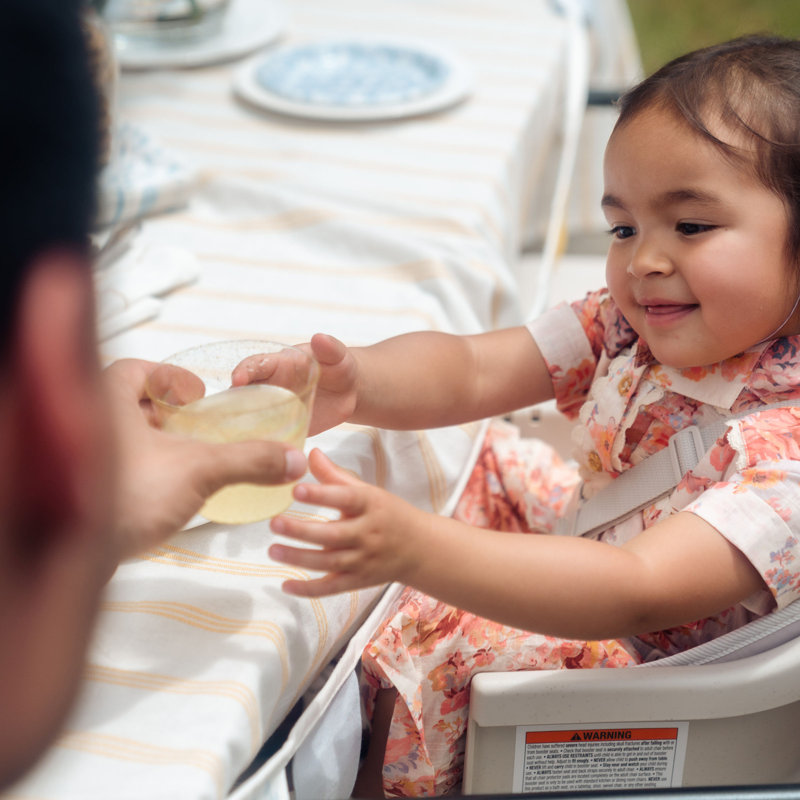 Maxi-Cosi Moa 8-in-1 High Chair, Classic Graphite