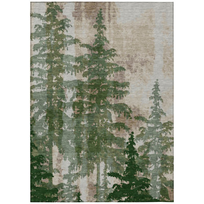 Machine Washable Indoor/Outdoor Chantille ACN2833 Lodge Rug