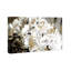 1 Piece Wrapped Canvas Wall Art-20182367