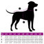 Pet Carrier-184380504-184380500