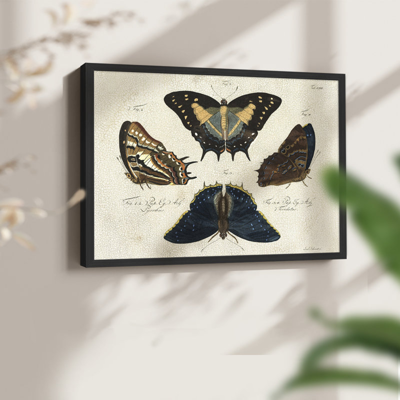 Crackled Butterflies IV -Framed Print - Restickable, Noir, noir, noir, noir, H 22 po x l 28 po
