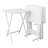 Mischa Tray Table Set-1499558365