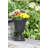 Urn Planter