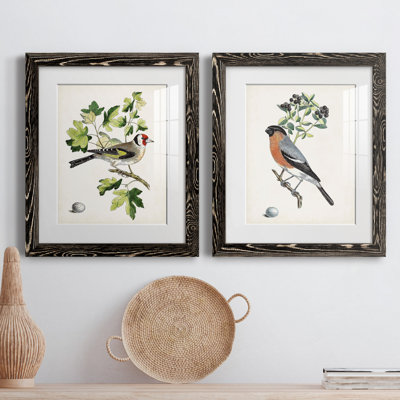 Oiseau antique, botanique et œuf III - ensemble de 2 reproductions d'art sur papier encadré