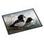 Paillasson Goldeneye Ducks in the Water-16653573