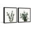 Diptyque de feuilles d'eucalyptus-1525913218